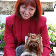 Emma`s Caprice — Labaza DogPedigree YorkshireTerrier